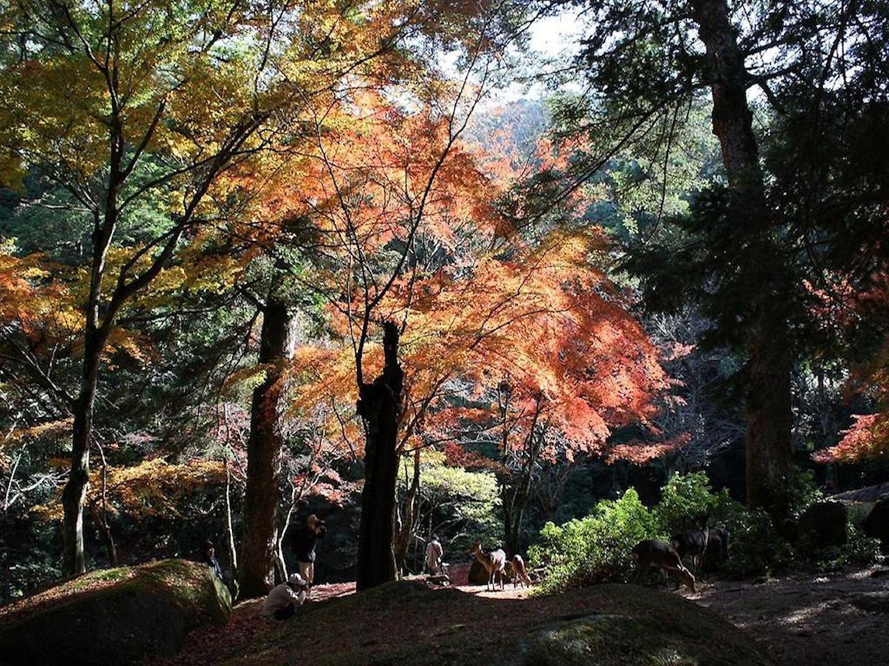Sakuraya Otel Hatsukaichi Dış mekan fotoğraf